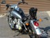 HONDA VT 125 SHADOW VT125 LEATHER TANK Pad Panel Cover Chap Bra Strap Bib